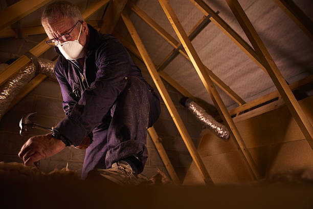 Best Insulation Contractors for Homes  in Yaphank, NY